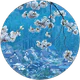 sonay turhan profil fotoğrafı