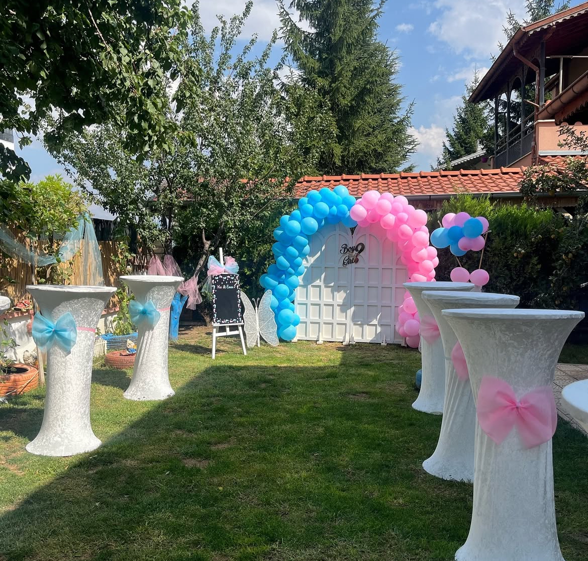 Elaysu Organizasyon ve davet evi