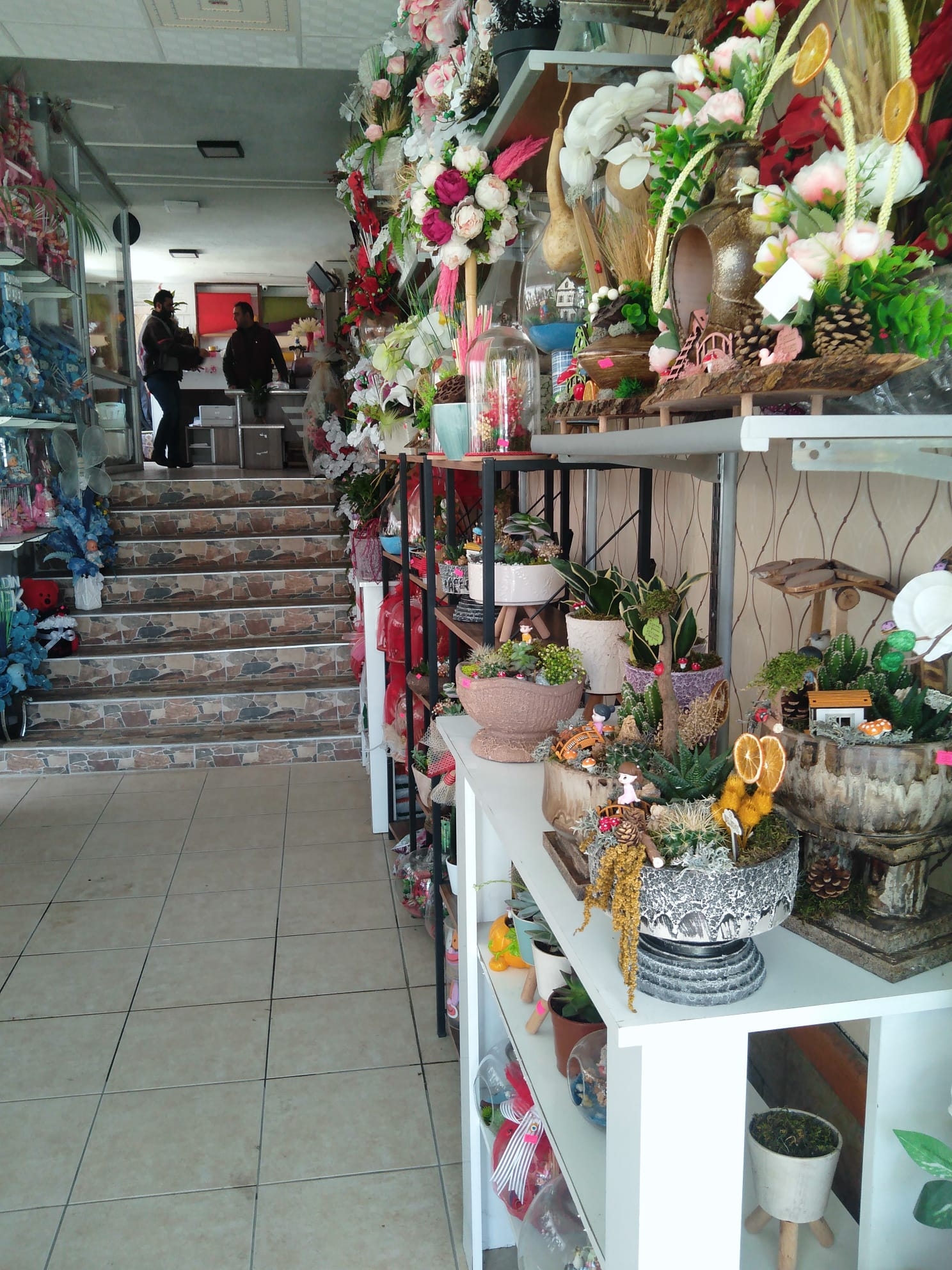 Isparta rain Floriculture